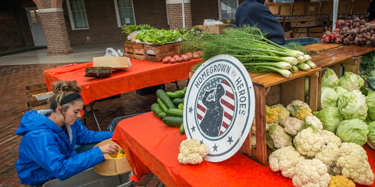 Vendor in a rain jacket arranging cauliflower, fennel and cucumbers on a market table early in the morning